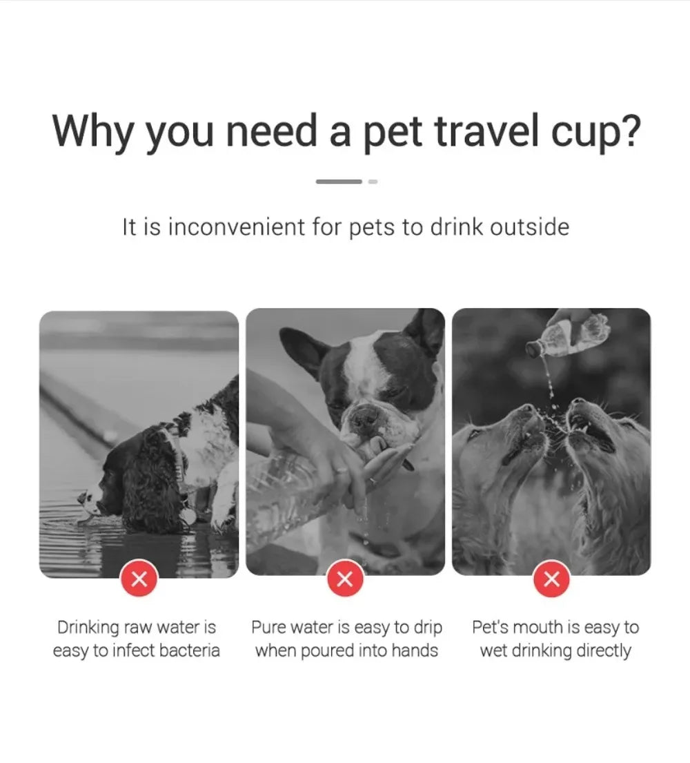 Portable Dog Water Bottle – Leakproof Travel Bottle