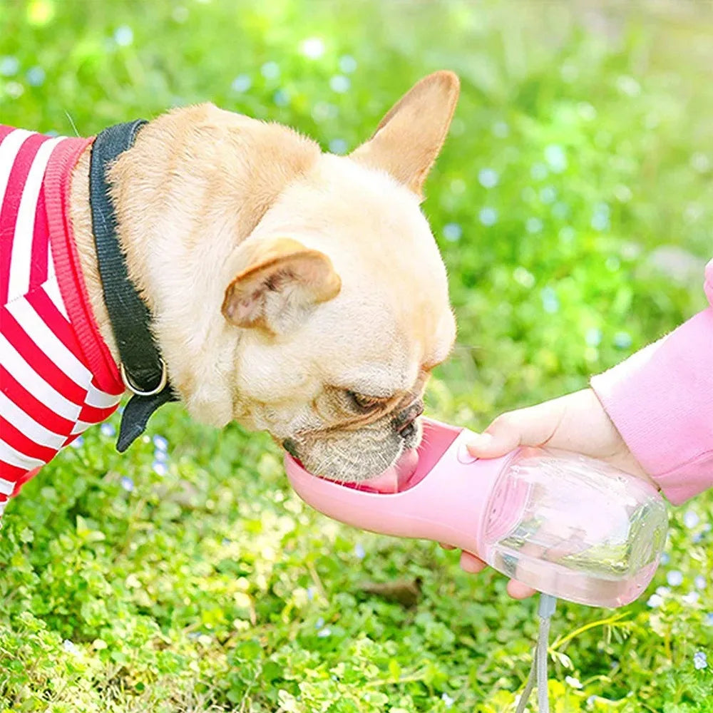 Portable Dog Water Bottle – Leakproof Travel Bottle