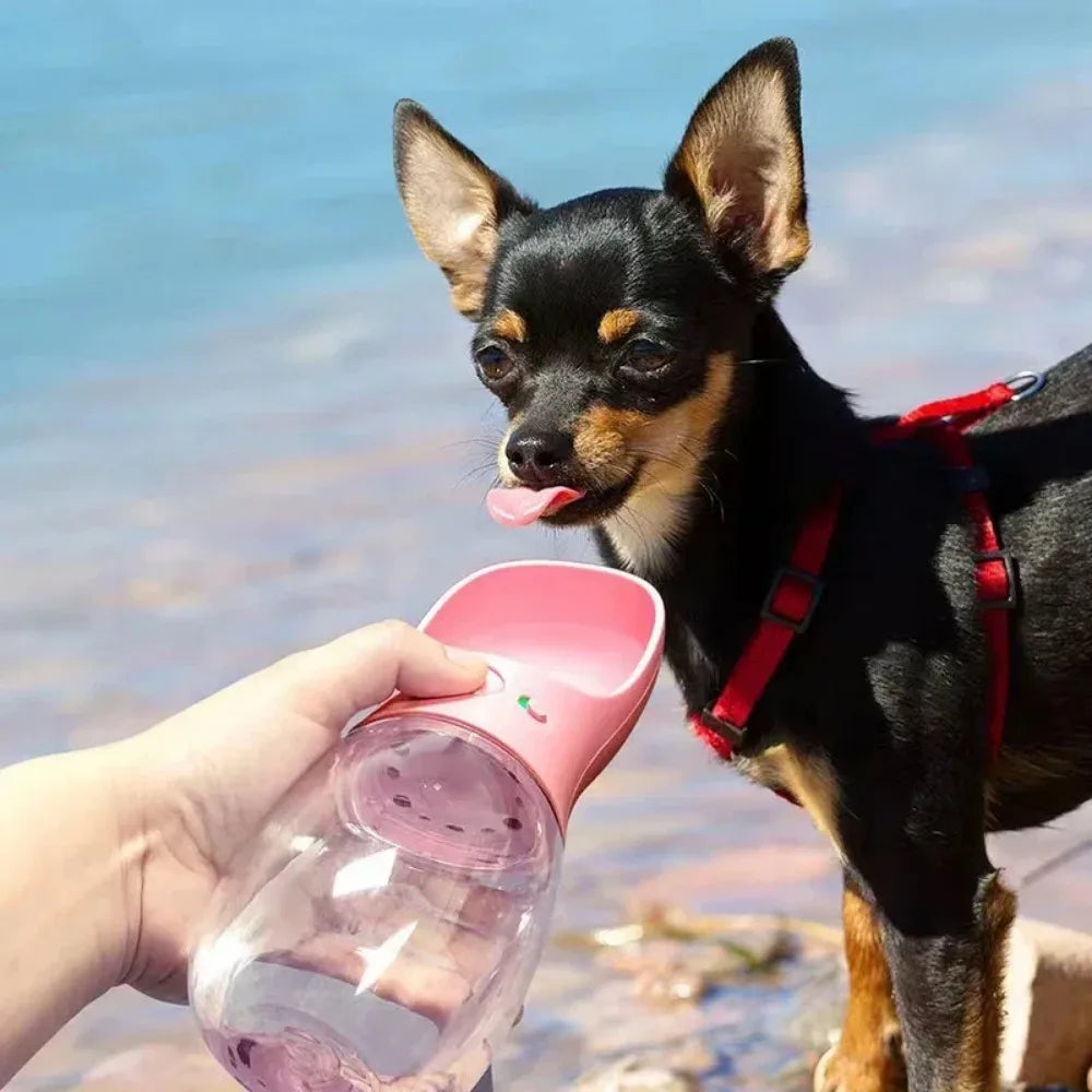 Portable Dog Water Bottle – Leakproof Travel Bottle